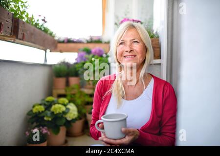Ältere Frau mit Kaffee auf dem Balkon im Sommer, entspannen unter Topfpflanzen blühenden Pflanzen. Stockfoto