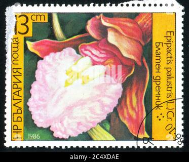 BULGARIEN - UM 1986: Briefmarke gedruckt von Bulgarien, zeigt Orchidee, um 1986 Stockfoto