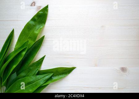 Blätter eines Ramson, frischer roher Bärlauch auf hellem Holzhintergrund Stockfoto