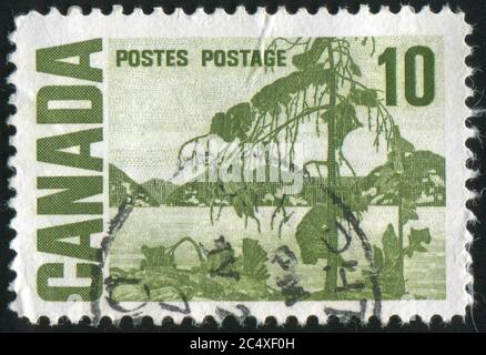 KANADA - UM 1967: Briefmarke gedruckt von Kanada, zeigt die Jack Pine“ von Tom Thomson, um 1967 Stockfoto