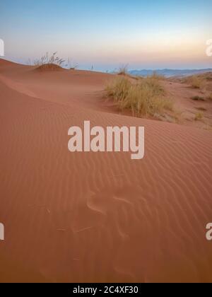 Ein vertikales Bild von Sanddünen in sanftem Licht bei Dämmerung, mit verblassenden Fußabdrücken im Vordergrund, in der Namib Wüste, Namibia. Stockfoto