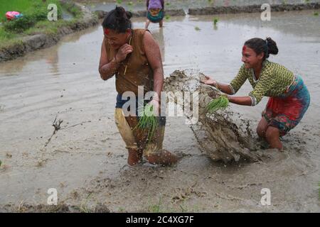 Kathmandu, Nepal. Juni 2020. Ein Mädchen spritzt den Frauen Schlamm zu, während sie den National Paddy Day feiern, auch Asar Pandra genannt, der den Beginn der Reispflanzung in Reisfeldern markiert, wenn die Monsunzeit eintrifft, in Kathmandu, Nepal, 29. Juni 2020. Quelle: Dipen Shrestha/ZUMA Wire/Alamy Live News Stockfoto