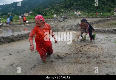 Kathmandu, Nepal. Juni 2020. Ein Mädchen spritzt den Frauen Schlamm zu, während sie den National Paddy Day feiern, auch Asar Pandra genannt, der den Beginn der Reispflanzung in Reisfeldern markiert, wenn die Monsunzeit eintrifft, in Kathmandu, Nepal, 29. Juni 2020. Quelle: Dipen Shrestha/ZUMA Wire/Alamy Live News Stockfoto