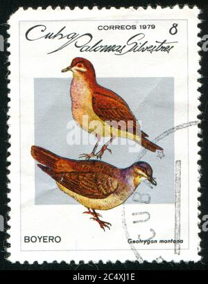 KUBA - UM 1979: Briefmarke gedruckt von Kuba, zeigt Taube, um 1979 Stockfoto