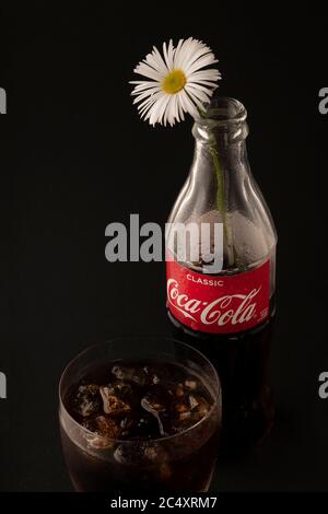 Krasnojarsk, Russland, 20. Juni 2020: Eine offene Flasche Coca-Cola, mit einer Kamillenblume wie eine Vase, daneben ein Glas Cola. Kreativ noch lif Stockfoto