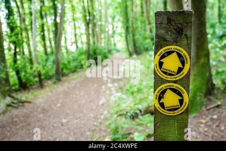 Fußpfadmarkierung, East Sussex. Ein Schild mit Wegweisern durch ein Waldgebiet entlang des South Downs Way in East Sussex, England. Stockfoto