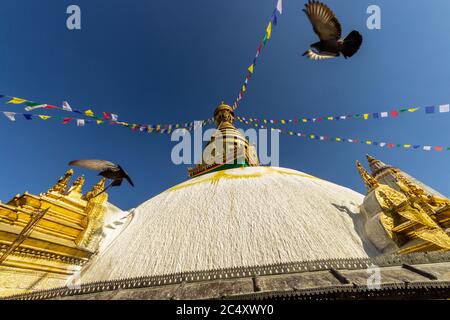 Der Swayambhu Maha Chaitya Stupa mit einer Taube, die am blauen Himmel fliegt Stockfoto