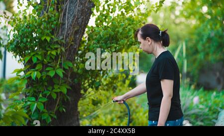 Junge Frau wässern Gemüsegarten aus Schlauch. Nahaufnahme der weiblichen Bewässerung. Konzept der Sommer- und Gartenpflege, Bio-Produkte und umweltfreundlich Stockfoto