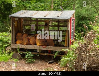 Holzstämme zum Verkauf am Straßenrand in Norfolk Stockfoto