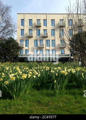 Hotel Mauritzhof in Münster, Deutschland im Frühjahr mit Narzissen vor dem Hotel. Stockfoto