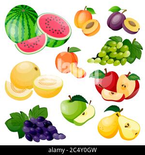 Saftige Beeren und Früchte Icon Kollektion. Vektor flach Cartoon Illustration. Frische Wassermelone, Melone, Aprikose, Traube und Pflaume isoliert auf weißem Backgro Stock Vektor