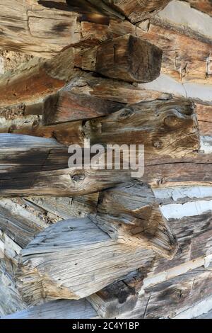 Eidechse auf Felsvorsprung 1390. Trockene, heiße Wüstenlandschaft. Getarnt gegen raue Outdoor-Bergfelsen. Stockfoto