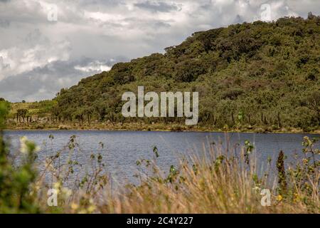 Panoramablick auf die Laguna Verde, einen natürlichen See am Teatinos paramo, im Hochland der Andenberge von Zentral-Kolumbien. Stockfoto