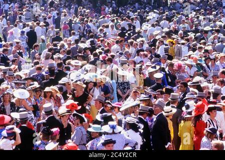 Massen im Royal Gehäuse am Ladies Day bei den Pferderennen Royal Ascot. Ascot. Berkshire. England Stockfoto