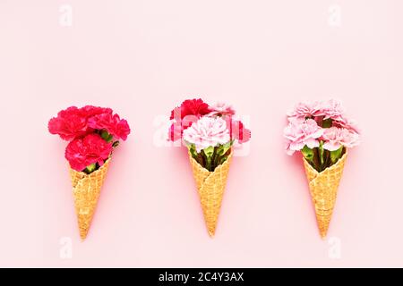 Drei Waffel-Eiszapfen mit rosa Nelkenblüten auf rosa Hintergrund. Draufsicht, Kopierbereich für Text Stockfoto