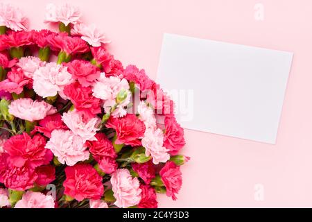 Rosa Nelkenblumen Bouquet und leeres Papier Blatt auf rosa Hintergrund. Lay-up, flach. Sommerkonzept. Platz für Text kopieren, Draufsicht Stockfoto
