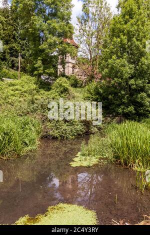 Christ Church spiegelt sich in der stillgetrauten Themse und Severn Canal in Chalford, Gloucestershire Großbritannien Stockfoto