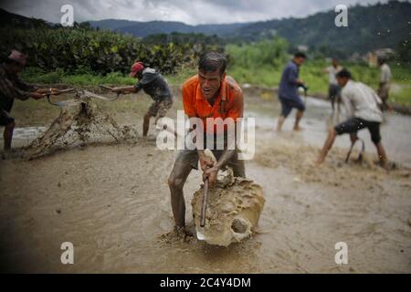 Kathmandu, Nepal. Juni 2020. Bauern feiern das National Paddy Day Festival in Kathmandu, Nepal, 29. Juni 2020. Quelle: Sulav Shrestha/Xinhua/Alamy Live News Stockfoto