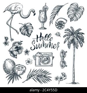 Hello Sommer Kalligraphie Schriftzug und tropische Design-Elemente Set. Urlaub, Meer Strand Urlaub handgezeichnete Ikonen, isoliert auf weißem Hintergrund. Vecto Stock Vektor