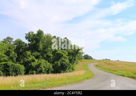 Eine kurvenreiche Straße durch einen Hügel an einem sonnigen Tag mit Bäumen Stockfoto