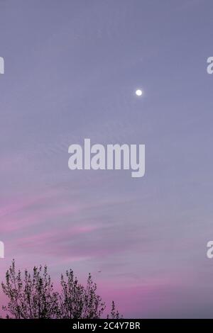 Staubige lila Wolken und ein Vollmond erleuchten den Nachthimmel. Stockfoto