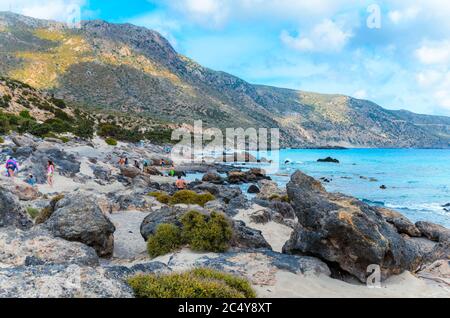 Chania Kreta, Kedrodasos ist ein fantastischer Strand in kurzer Entfernung von der berühmten Elafonissi Lagune. Der Strand ist voll mit Wacholderbäumen und Stockfoto