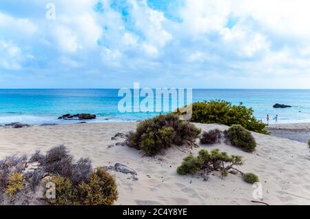 Chania Kreta, Kedrodasos ist ein fantastischer Strand in kurzer Entfernung von der berühmten Elafonissi Lagune. Der Strand ist voll mit Wacholderbäumen und Stockfoto