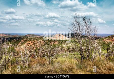 Landschaftlich schöner Blick über den Palo Duro Canyon State Park, Texas Stockfoto