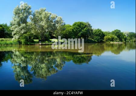 Großbritannien, South Yorkshire, Barnsley, Dearne Valley Country Park, Anglers Pond Stockfoto