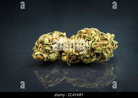 Zwei Cannabis Knospen auf dunklem Hintergrund, Nahaufnahme Stockfoto
