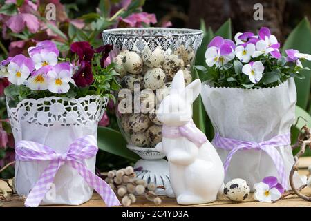 osterdekoration mit osterhasen und Viola Blumen in weiß und lila Stockfoto