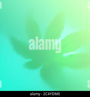 Heller Farbschatten von Marihuana auf trendy grün blau verschwommenem Hintergrund. Flaches Lay. Minimales Konzept mit Lamelle. Verschwommen. Stockfoto