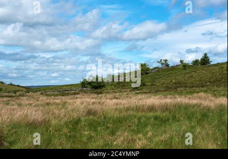 Cavan Burren Park, Geopark, Blacklion, Irland, Stockfoto