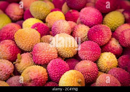 Frische rote und gelbe Litschi-Früchte auf dem Markt, auch als Lichee, Litschi oder Lichi, Litchi chinensis natürlichen Nahrungshintergrund bekannt. Stockfoto