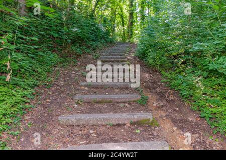 Steintreppe auf einem Hügel mitten im Wald zwischen Bäumen und Vegetation mit grünem Laub, sonniger Frühlingstag in Süd-Limburg, Niederlande Stockfoto