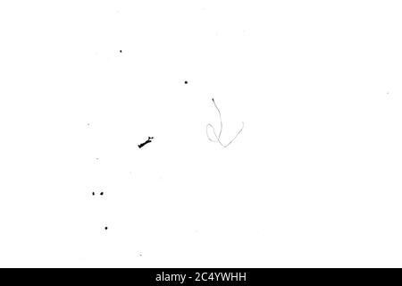 Schmutz und Staub auf dem Sensor der Digitalkamera. Staubflecken und Schmutz auf dem Testrahmen Stockfoto