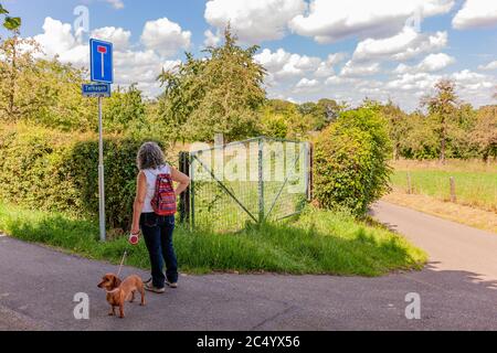 Reife Frau mit Rucksack und Hund auf einer ländlichen Straße stehend und auf ein Schild mit der Aufschrift: Diese Straße ist eine Sackgasse, üppige Vegetation Stockfoto
