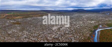 Lavafeld in Island, bewachsen mit Moos und Zwergbäumen. Island Draufsicht von der Drohne aus der Luftansicht. Stockfoto