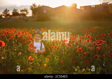 Schöne Kleinkind Junge, Kind sammeln Mohnblumen bei Sonnenuntergang in schönen Landschaft Stockfoto