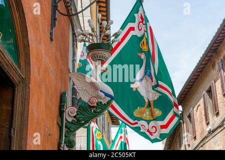 Flaggen des Oca (Gans)-Bezirks in der mittelalterlichen Stadt Siena, UNESCO-Weltkulturerbe, in der Toskana, Mittelitalien. Diese Bezirke wurden U gesetzt Stockfoto