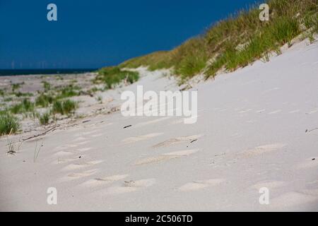 Ostsee, Deutschland, Mecklenburg-Vorpommern, Darß, Prerow, Meer Stockfoto