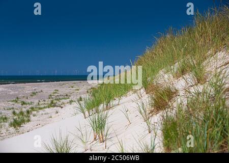 Ostsee, Deutschland, Mecklenburg-Vorpommern, Darß, Prerow, Meer Stockfoto