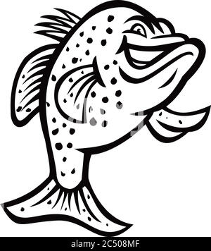 Schwarz-weiß Illustration eines crappie, croppie, Papermouths, Erdbeer Bass, gesprenkelt Bass, Flecken, gesprenkelt Barsch, crappie Bass oder Calico Bass, Stock Vektor