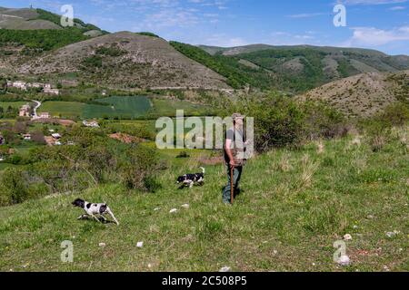 Trüffeljäger mit seinen Hunden, die bei Pettino, einem kleinen Dorf in den Bergen bei Campello sul Clitunno in t, zur Trüffeljagd eingesetzt werden Stockfoto