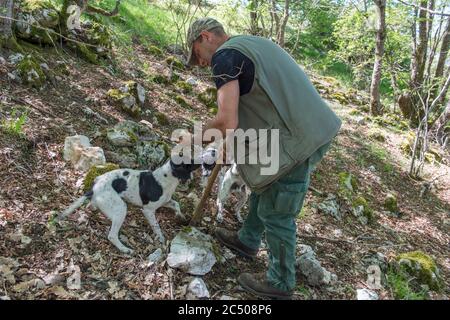 Trüffeljäger mit seinen Hunden, die bei Pettino, einem kleinen Dorf in den Bergen bei Campello sul Clitunno in t, zur Trüffeljagd eingesetzt werden Stockfoto