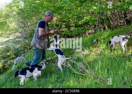 Trüffeljäger mit seinen Hunden, die bei Pettino, einem kleinen Dorf in den Bergen bei Campello sul Clitunno in t, zur Trüffeljagd eingesetzt werden Stockfoto