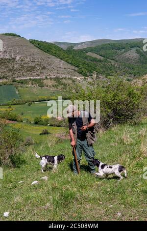 Trüffeljäger mit seinen Hunden, die bei Pettino, einem kleinen Dorf in den Bergen bei Campello sul Clitunno in t, zur Trüffeljagd eingesetzt werden Stockfoto