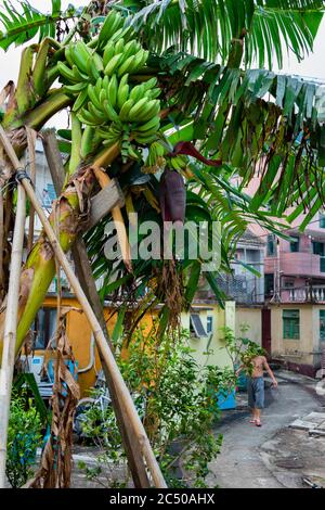 Ein ländliches Dorf in New Territories, Hong Kong. Stockfoto