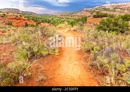 Wanderweg im Palo Duro Canyon State Park, Texas Stockfoto