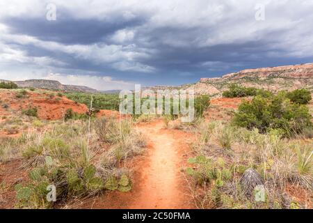 Wanderweg im Palo Duro Canyon State Park, Texas Stockfoto